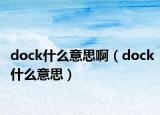 dock什么意思?。╠ock什么意思）