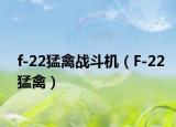 f-22猛禽戰(zhàn)斗機（F-22猛禽）