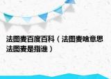 法圖麥百度百科（法圖麥啥意思 法圖麥?zhǔn)侵刚l）