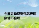 今日更新獼猴桃怎樣催熟才不會爛
