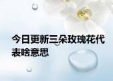 今日更新三朵玫瑰花代表啥意思