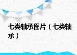 七類軸承圖片（七類軸承）
