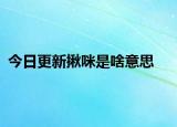 今日更新揪咪是啥意思