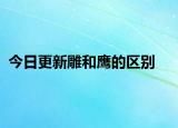今日更新雕和鷹的區(qū)別