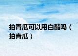 拍青瓜可以用白醋嗎（拍青瓜）