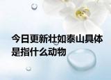 今日更新壯如泰山具體是指什么動物