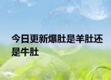 今日更新爆肚是羊肚還是牛肚