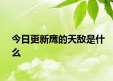 今日更新鷹的天敵是什么
