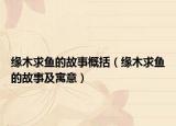 緣木求魚的故事概括（緣木求魚的故事及寓意）