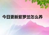 今日更新紫羅蘭怎么養(yǎng)