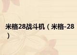 米格28戰(zhàn)斗機（米格-28）