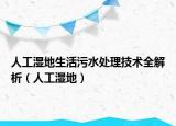 人工濕地生活污水處理技術(shù)全解析（人工濕地）