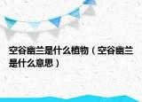空谷幽蘭是什么植物（空谷幽蘭是什么意思）