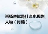 肖楊楚斌是什么電視劇人物（肖楊）