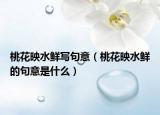 桃花映水鮮寫句意（桃花映水鮮的句意是什么）