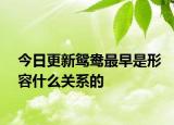 今日更新鴛鴦最早是形容什么關(guān)系的