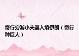 奇行窮游小夫妻入境伊朗（奇行種巨人）