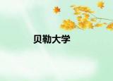 貝勒大學(xué)