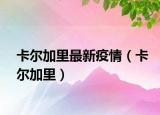 卡爾加里最新疫情（卡爾加里）