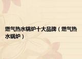燃?xì)鉄崴仩t十大品牌（燃?xì)鉄崴仩t）
