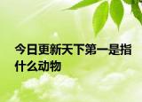 今日更新天下第一是指什么動物