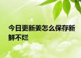 今日更新姜怎么保存新鮮不爛
