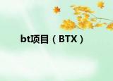 bt項(xiàng)目（BTX）