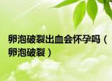 卵泡破裂出血會(huì)懷孕嗎（卵泡破裂）