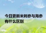 今日更新米刺參與海參有什么區(qū)別