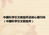 中國科學(xué)引文數(shù)據(jù)庫是核心期刊嗎（中國科學(xué)引文數(shù)據(jù)庫）