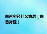 白首窮經(jīng)什么意思（白首窮經(jīng)）