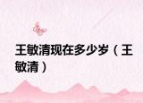 王敏清現(xiàn)在多少歲（王敏清）
