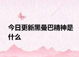 今日更新黑曼巴精神是什么