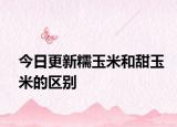今日更新糯玉米和甜玉米的區(qū)別