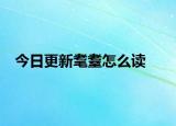 今日更新耄耋怎么讀