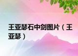 王亞瑟石中劍圖片（王亞瑟）