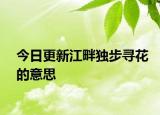 今日更新江畔獨(dú)步尋花的意思