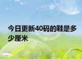 今日更新40碼的鞋是多少厘米
