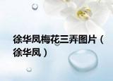 徐華鳳梅花三弄圖片（徐華鳳）