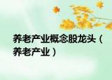 養(yǎng)老產(chǎn)業(yè)概念股龍頭（養(yǎng)老產(chǎn)業(yè)）
