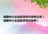 保障中小企業(yè)款項(xiàng)支付條例公布（保障中小企業(yè)款項(xiàng)支付條例）