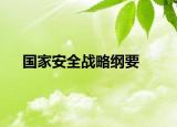 國家安全戰(zhàn)略綱要