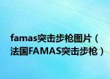 famas突擊步槍圖片（法國FAMAS突擊步槍）