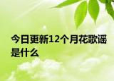 今日更新12個月花歌謠是什么