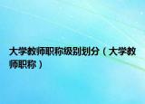 大學(xué)教師職稱級(jí)別劃分（大學(xué)教師職稱）