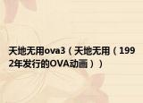 天地?zé)o用ova3（天地?zé)o用（1992年發(fā)行的OVA動(dòng)畫））