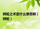 轉(zhuǎn)輪之術(shù)是什么意思?。ㄞD(zhuǎn)輪）