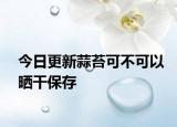 今日更新蒜苔可不可以曬干保存