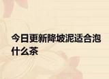 今日更新降坡泥適合泡什么茶