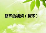 臍環(huán)的視頻（臍環(huán)）